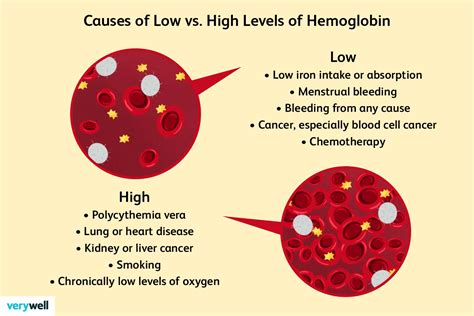 hqbto|High Hemoglobin Count Causes, Symptoms, and .